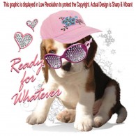 Rhinestone Baseball Puppy